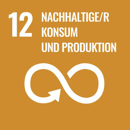SDG 12 Nachhaltiger Konsum und Produktion